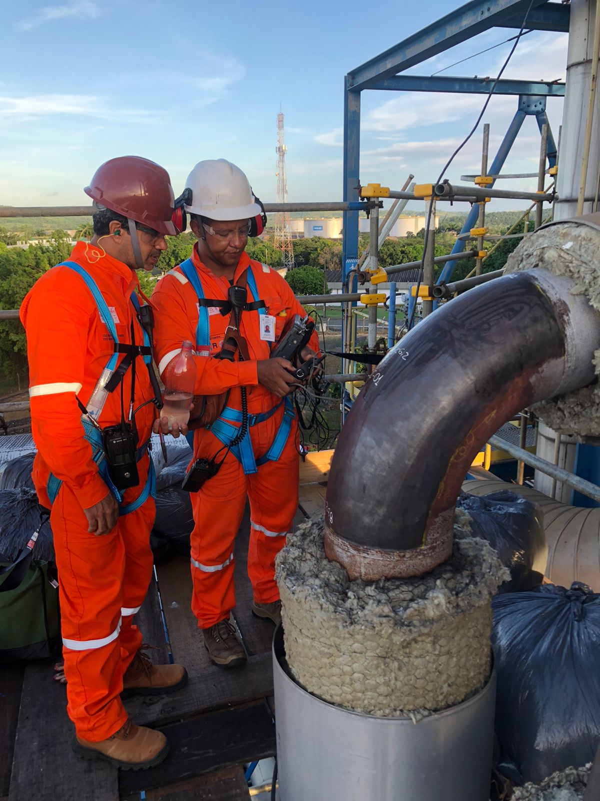 WhatsApp Image 2023-02-03 at 10.13.53.jpeg