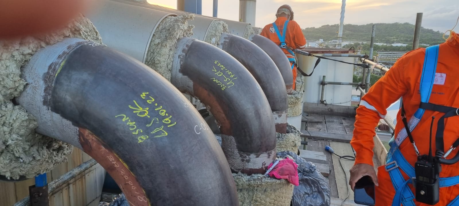 WhatsApp Image 2023-02-03 at 10.09.12.jpeg